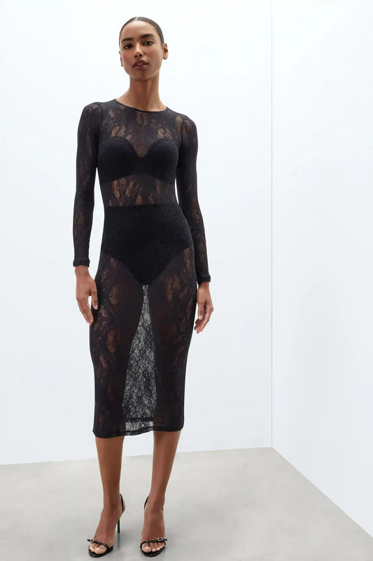 Long Sleeve Sheer Lace Dress